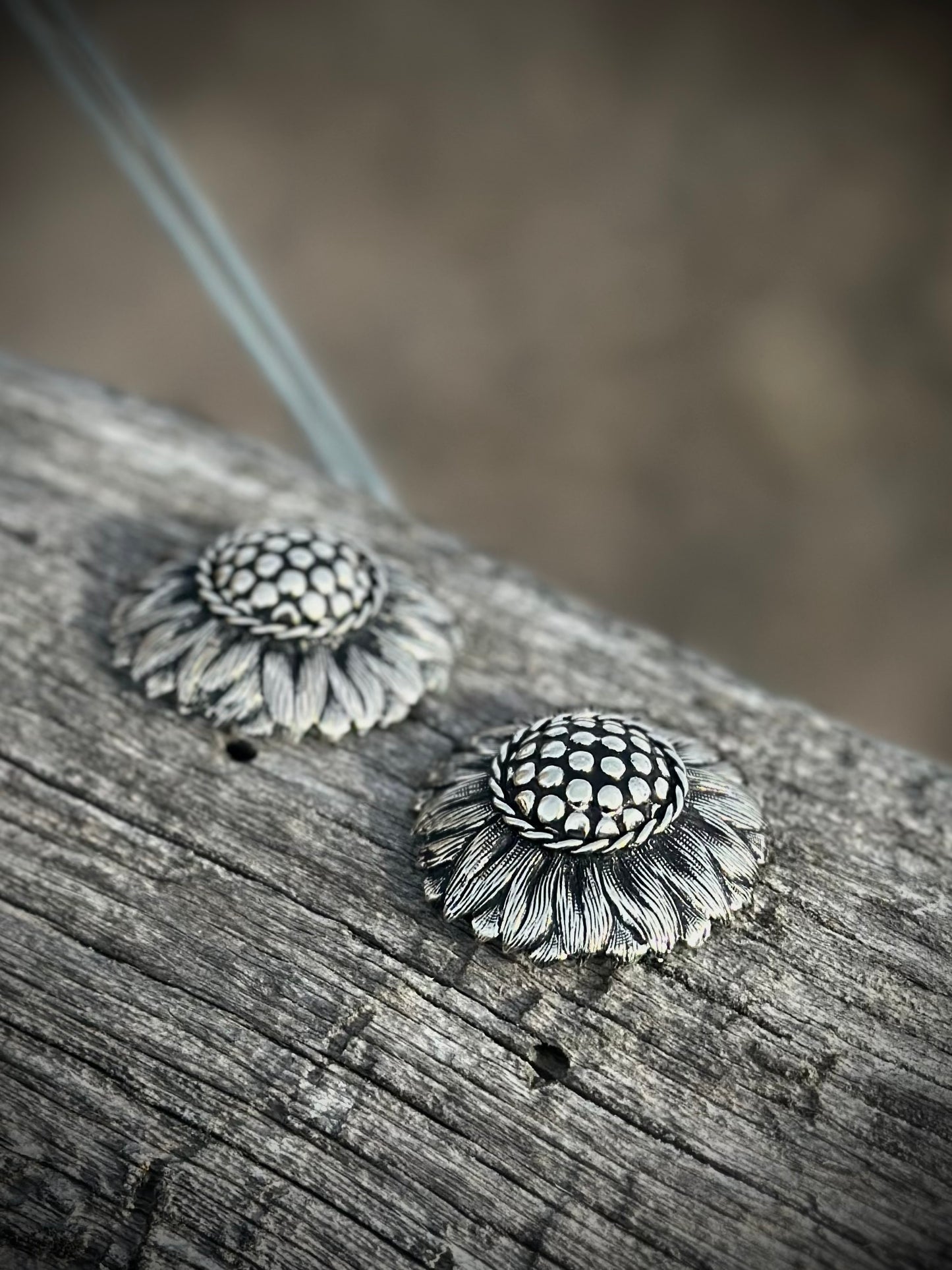 Sun on the Sage Loop Back Conchos