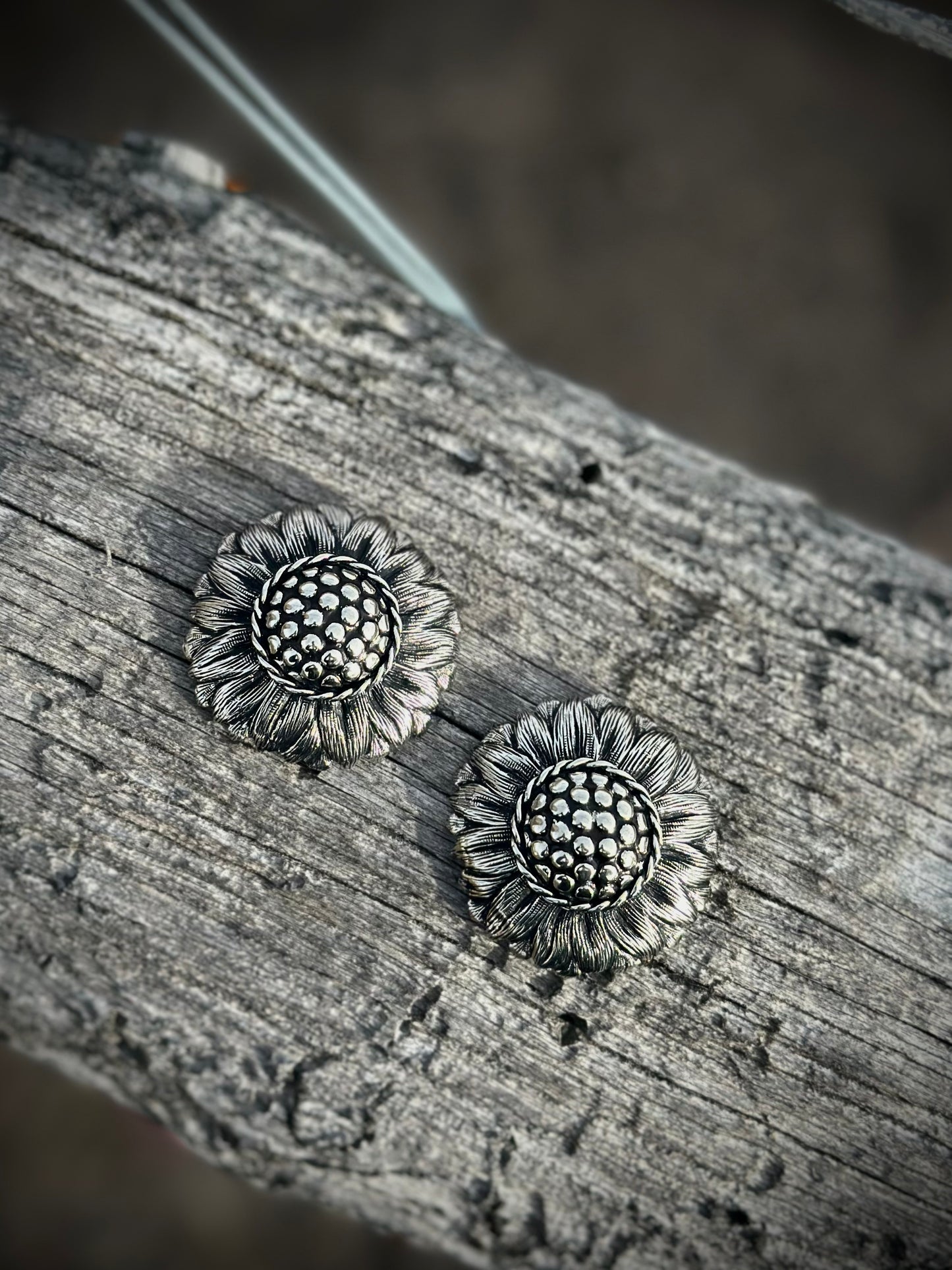 Sun on the Sage Loop Back Conchos
