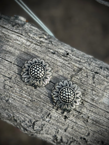 Sun on the Sage Loop Back Conchos